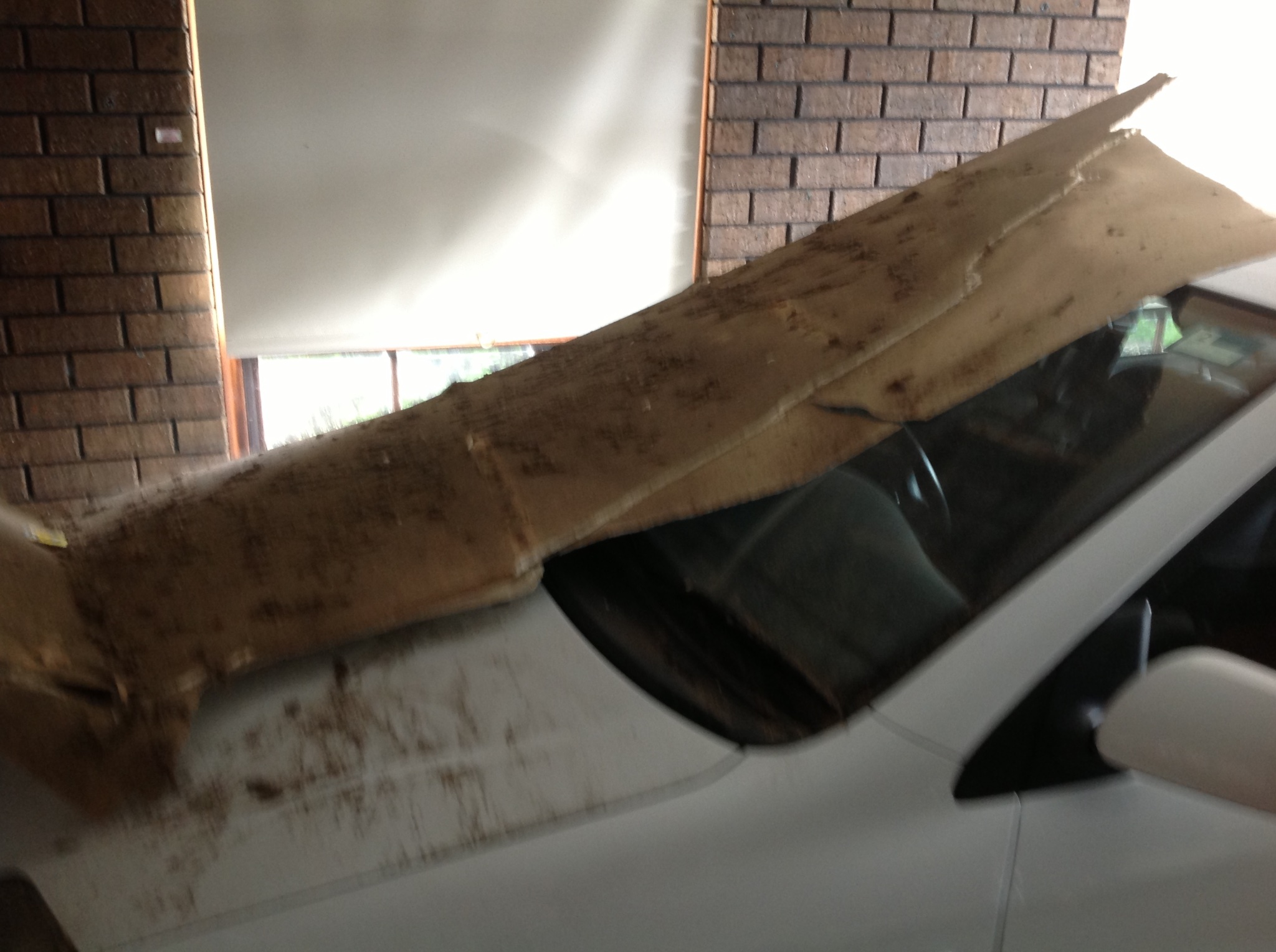 Collapsed water-damaged ceiling exposing roof structure